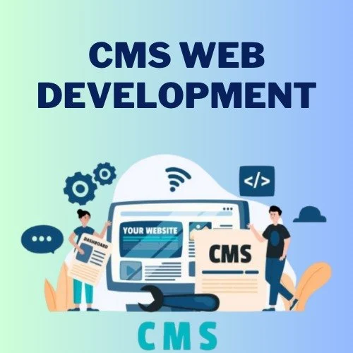 Custom CMS Development Services | CMS Web Application Development in Nevada City